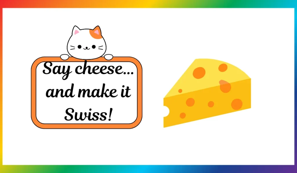 Swiss Cheese Puns