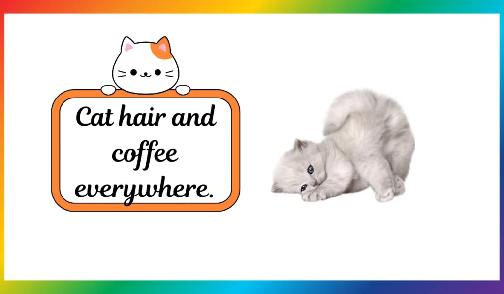 cat coffee puns