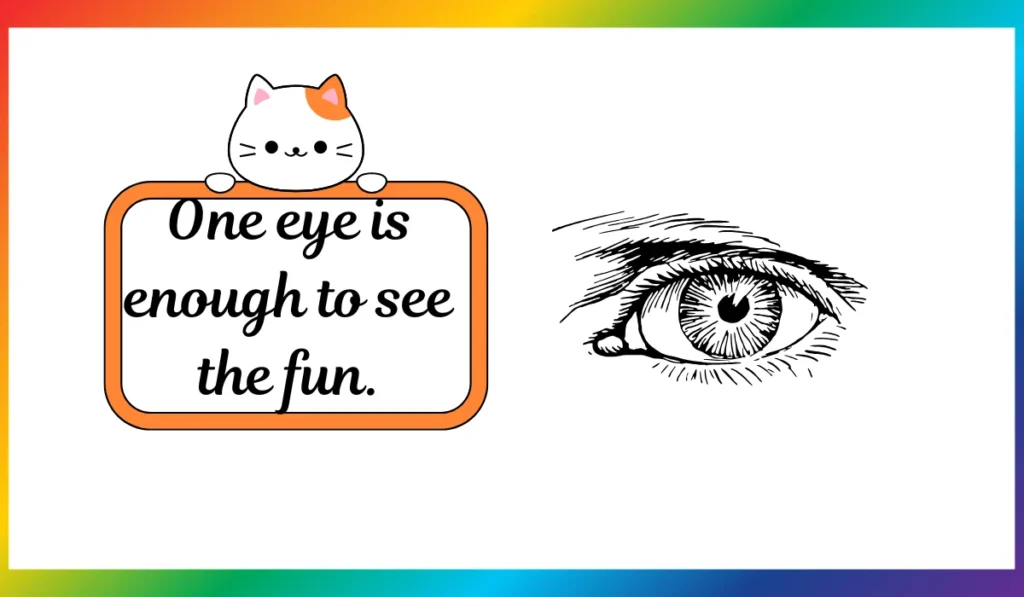 One Eye Puns