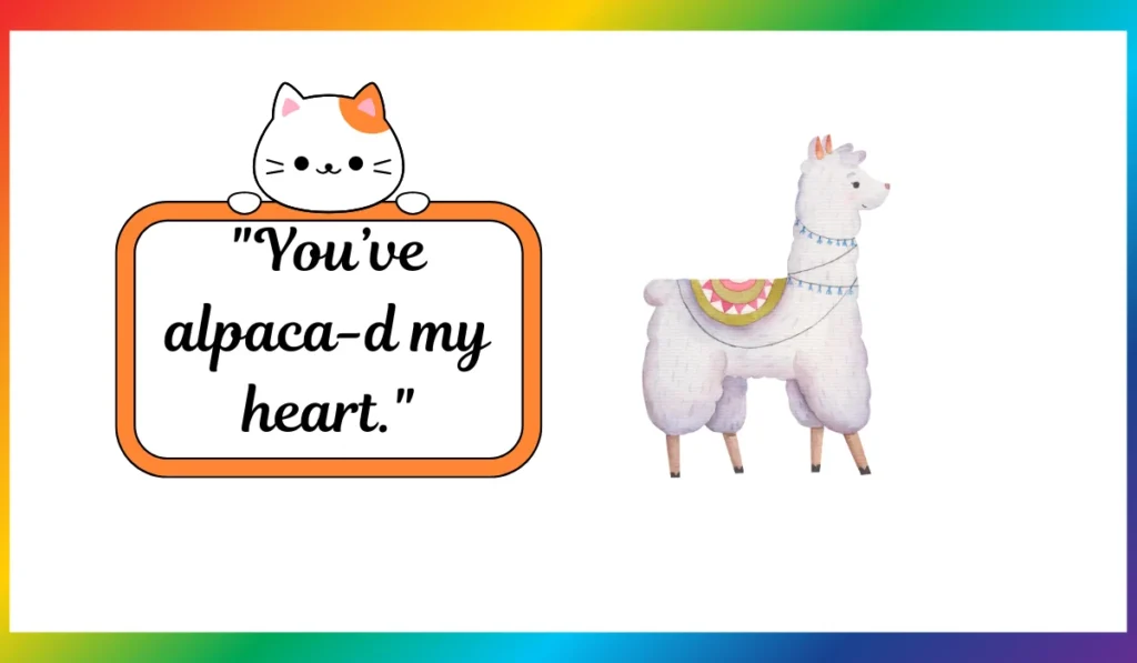 alpaca puns