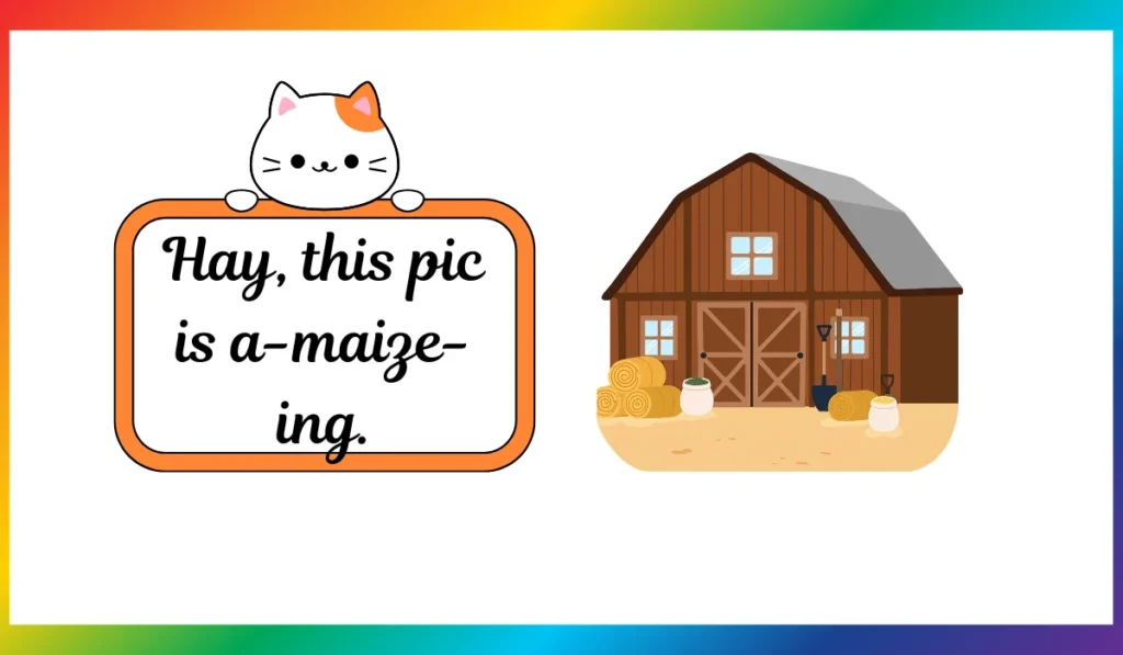 hay jokes